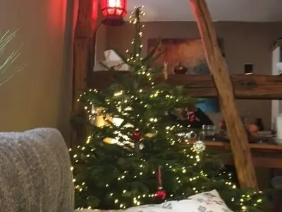 Ferienwohnung für 4 Personen (68 m²) in Burrweiler 5/10