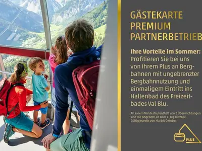 Ferienwohnung für 4 Personen (60 m²) in Bürs 6/10