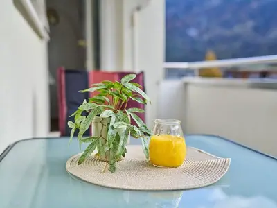 Ferienwohnung für 4 Personen (40 m²) in Bürs 10/10
