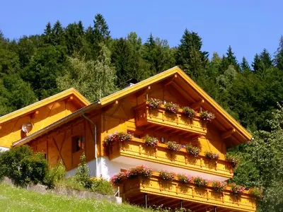 Ferienwohnung für 6 Personen (63 m²) in Bürserberg 1/10
