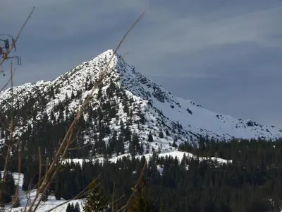 Ferienwohnung für 8 Personen (75 m²) in Bürserberg 9/10