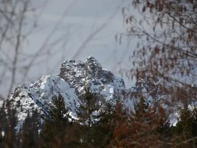 Ferienwohnung für 8 Personen (75 m²) in Bürserberg 10/10