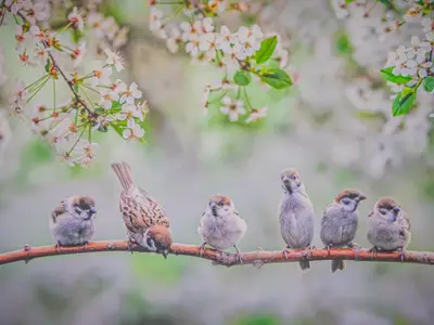 Ferienwohnung für 5 Personen in Oberwaldbach 3/10