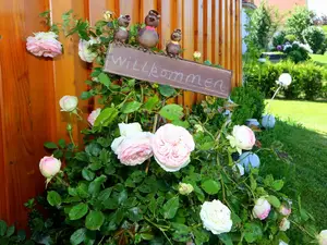 Ferienwohnung für 5 Personen in Oberwaldbach