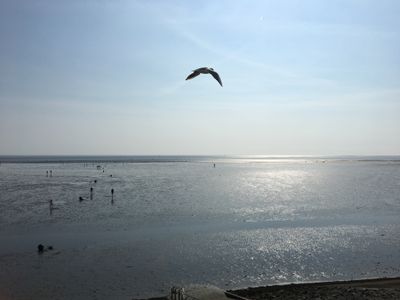 Blick auf das Weltkulturerbe Wattenmeer