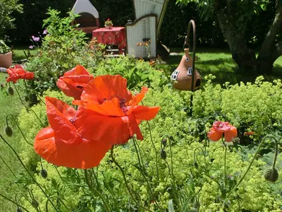 ... und Grillplatz lässt Sie schnell den Alltag hinter sich lassen !