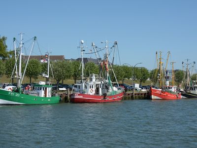 Hafen