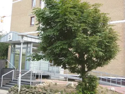 Ferienwohnung für 3 Personen (55 m²) in Büsum 3/10