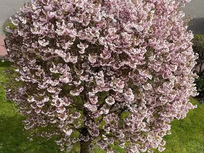 Ferienwohnung für 2 Personen (55 m²) in Büsum 8/10