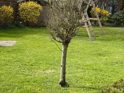 Ferienwohnung für 1 Person (27 m²) in Büsum 9/10