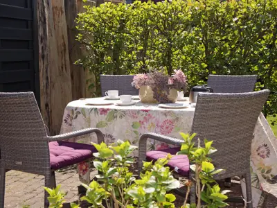 Terrasse im gemeinschaftlichen Garten