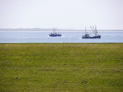 Blick aus der Wohnung