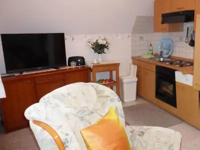 Wohnraum mit  großen Flachbild TV und Küchenzeile.und kostenloses Wlan