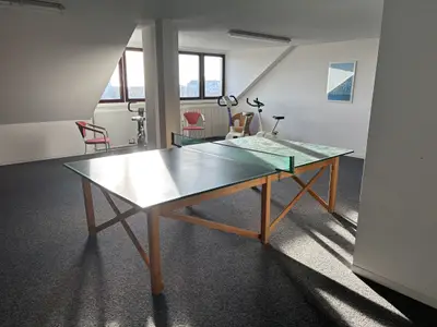 Tischtennisplatte zur gemeinschaftlichen Nutzung