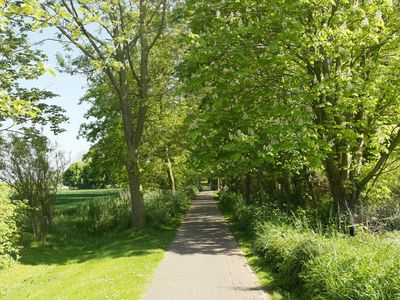 Ferienwohnung für 2 Personen (49 m²) in Büsumer Deichhausen 8/10