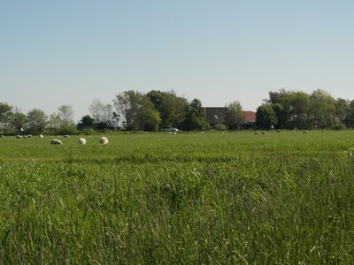 Ferienwohnung für 2 Personen (49 m²) in Büsumer Deichhausen 9/10