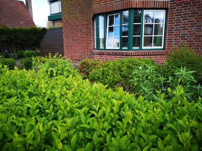 Ferienwohnung für 2 Personen (9 m²) in Büsumer Deichhausen 2/10