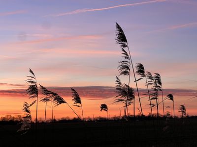 Sonnenuntergang am Haus