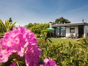 Ferienwohnung für 4 Personen (60 m²) in Butjadingen-Sillens