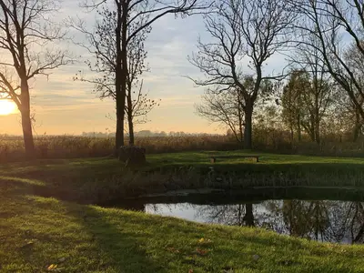 Außenansicht Garten mit Teich