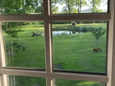 Blick aus dem Fenster in den Garten