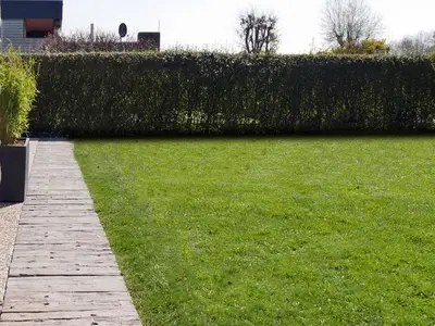 Ferienwohnung für 4 Personen (60 m²) in Butjadingen-Sillens 5/10