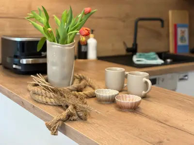 Ferienwohnung für 3 Personen (52 m²) in Butjadingen-Sillens 9/10