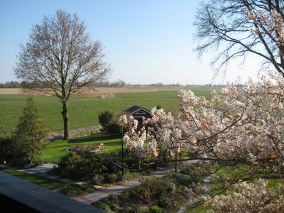 Blick in den Garten