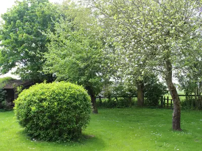 Garten 2