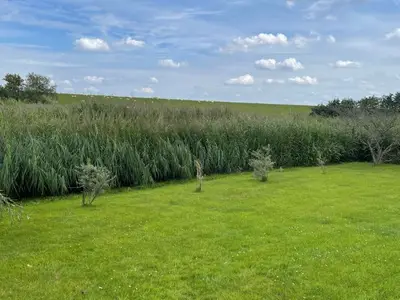 Ferienwohnung für 6 Personen (65 m²) in Butjadingen-Sillens 9/10
