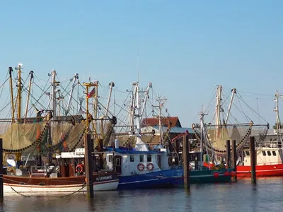 Ferienwohnung für 3 Personen (48 m²) in Butjadingen-Fedderwardersiel 1/10