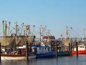 Ferienwohnung für 3 Personen (48 m²) in Butjadingen-Fedderwardersiel