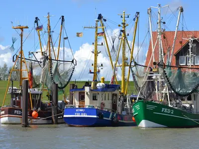 Ferienwohnung für 5 Personen (67 m²) in Butjadingen-Fedderwardersiel 6/10