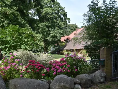Garten 2