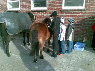 Ferienwohnung für 4 Personen (75 m²) in Butjadingen-Sillens 10/10