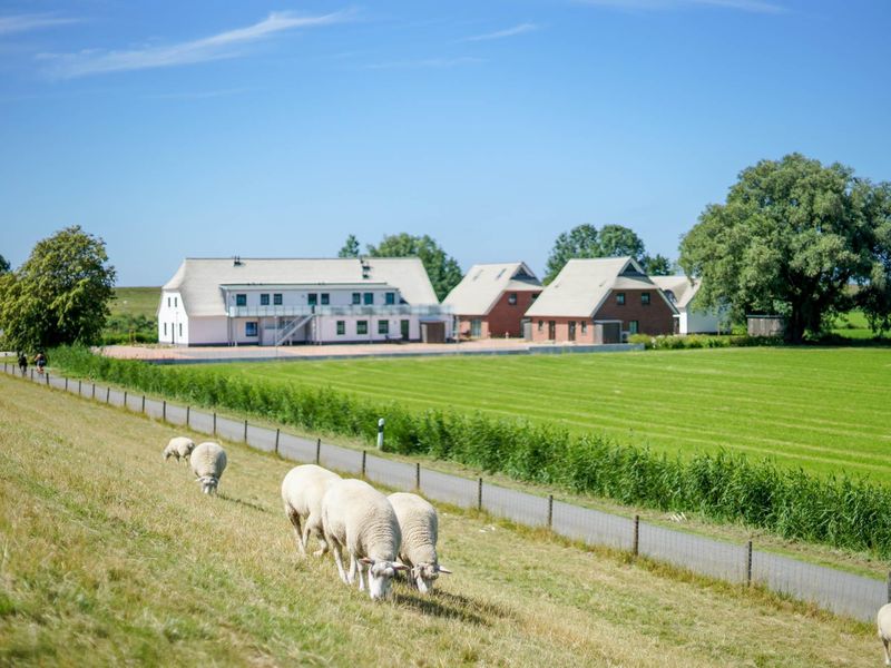 23355655-Ferienwohnung-4-Butjadingen-Tossens-800x600-1