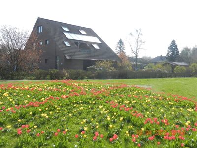 Ferienwohnung für 5 Personen (75 m²) in Butjadingen-Tossens 1/10