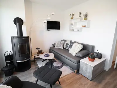 Kamin-/Ofen