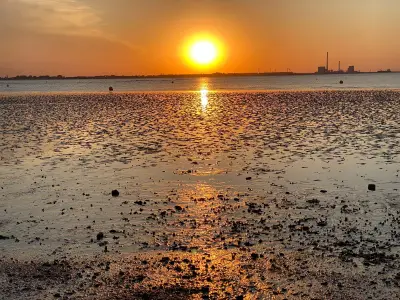 6b3bb6f3-f4b3-4818-9a36-3e5089b6b8bf