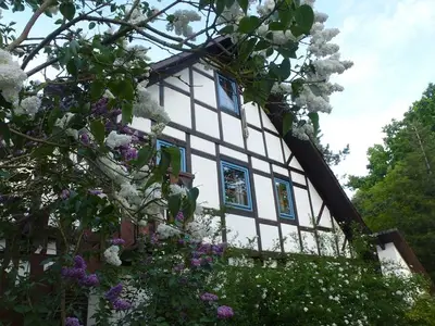 Ferienwohnung für 3 Personen (50 m²) in Buxtehude 3/10