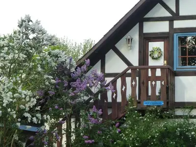 Ferienwohnung für 3 Personen (50 m²) in Buxtehude 5/10