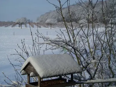 Ferienwohnung für 3 Personen (50 m²) in Buxtehude 4/10