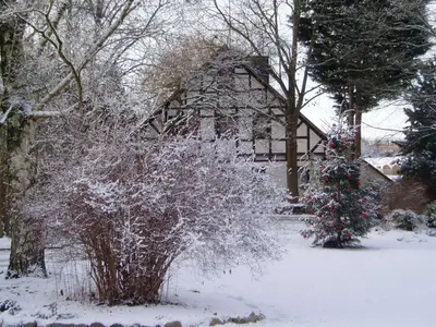 Ferienwohnung für 3 Personen (50 m²) in Buxtehude 5/10