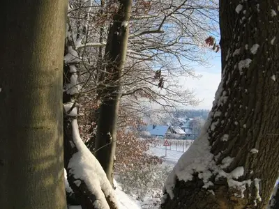 Ferienwohnung für 3 Personen (50 m²) in Buxtehude 7/10