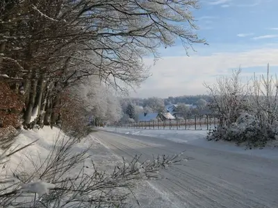 Ferienwohnung für 3 Personen (50 m²) in Buxtehude 8/10