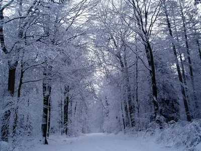 Ferienwohnung für 3 Personen (50 m²) in Buxtehude 9/10