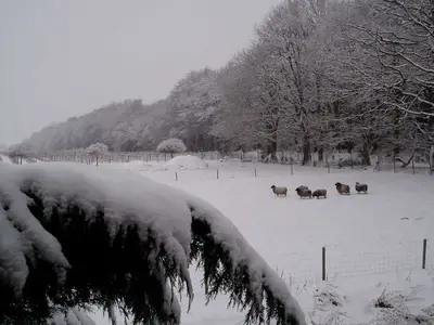 Ferienwohnung für 3 Personen (50 m²) in Buxtehude 10/10
