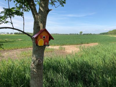 Blick in die herrliche Landschaft und unserer kleinsten Fewo für die Piepmätze