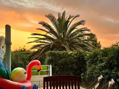 Ferienwohnung für 5 Personen (60 m²) in Calambrone 2/10