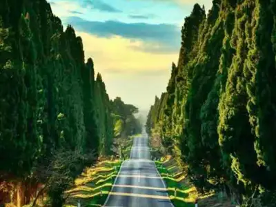 Ferienwohnung für 5 Personen (60 m²) in Calambrone 10/10